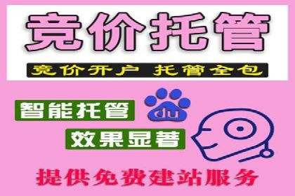 成功案例：托管竞价sem如何助力企业快速发展
